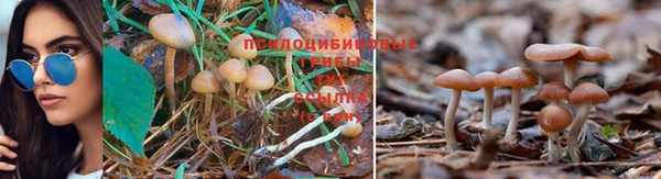 эйфоретик Покровск