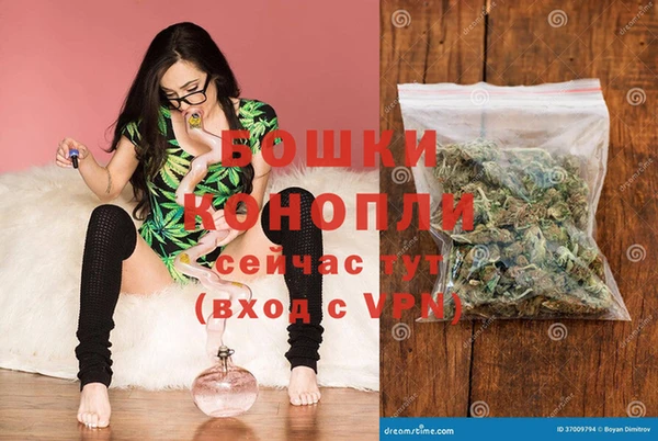 стаф Осташков