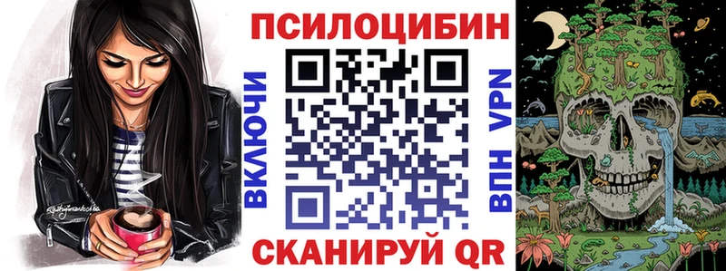 Галлюциногенные грибы MAGIC MUSHROOMS  Купить закладки  Заинск 